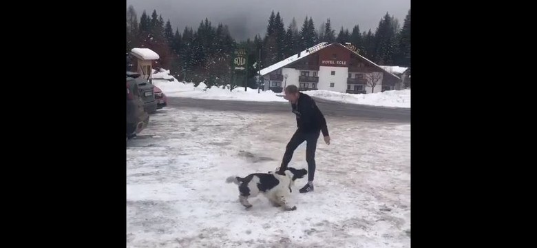 Tusk chce zastąpić Lewandowskiego? "Są alternatywy..."