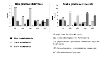 kutyaivartalanítás