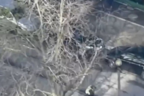 VIRALNI SNIMAK DOVEO DO ISTRAGE Suspendovani policajci koji su pobegli tokom terorističkog napada u Kijevu