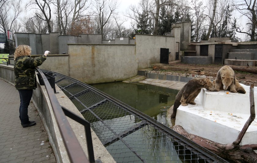 Warszawskie zoo