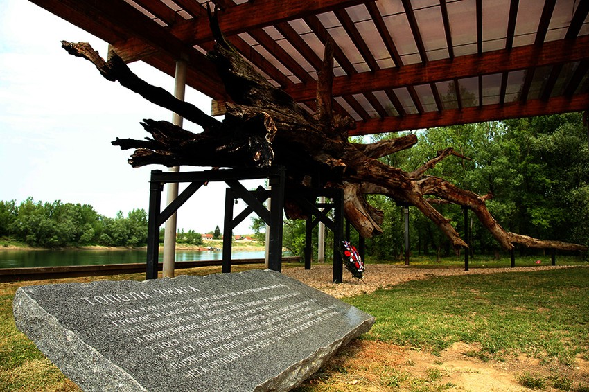jasenovac-donja-gradina topola-uzasa--01