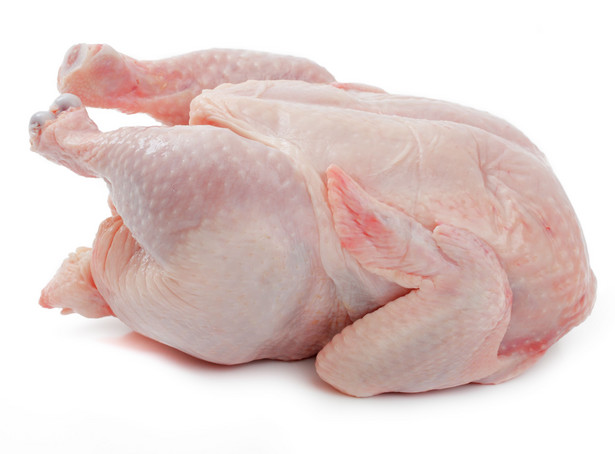 Kurczaki zakażone bakteriami opornymi na antybiotyki