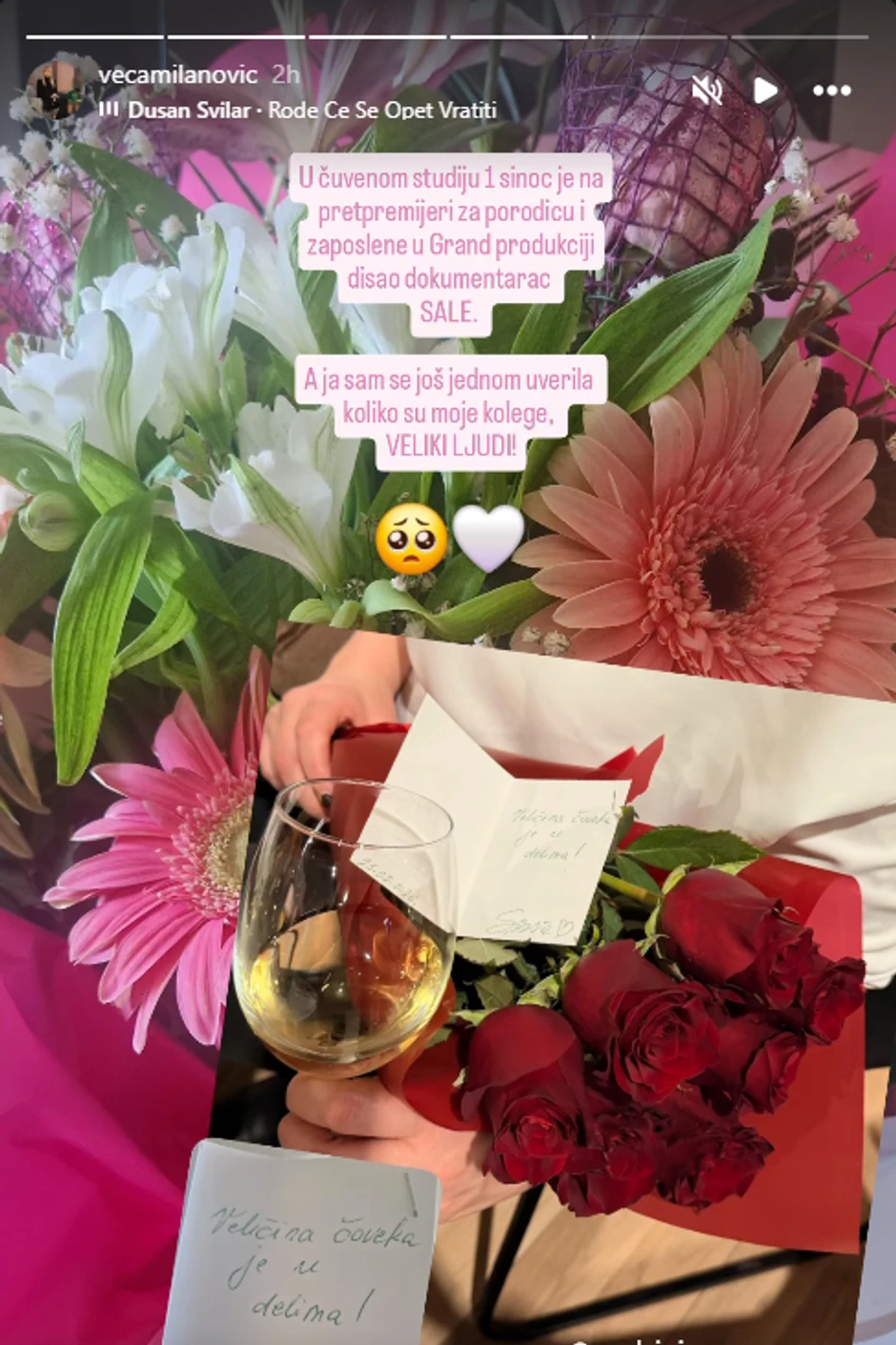 Objava Vesne Milanović