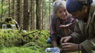 Film "Pokot" na przeglądzie w American Film Institute