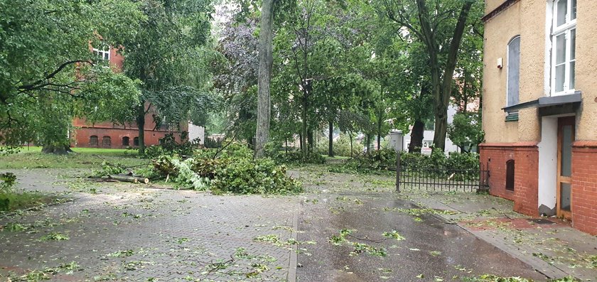 Potężna burza nad Chodzieżą, duże zniszczenia. Burmistrz: Alertu RCB nie było. Był tydzień temu w sprawie wyborów