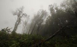 Będzie cieplej, ale od połowy tygodnia silny wiatr w całym kraju. PROGNOZA POGODY