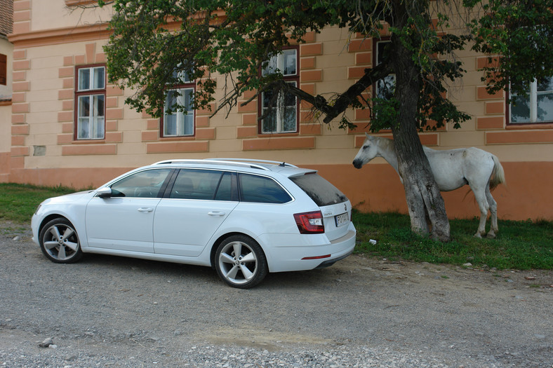 Skoda Octavia 1.4 TSI – koniec testu długodystansowego