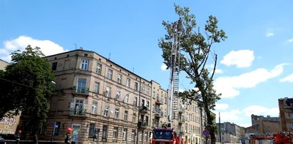 Tak wycinają drzewo w mieście. Skuteczna akcja strażaków.