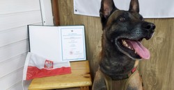 Nowy podoficer Wojska Polskiego tropi i gryzie. Eto dostał awans