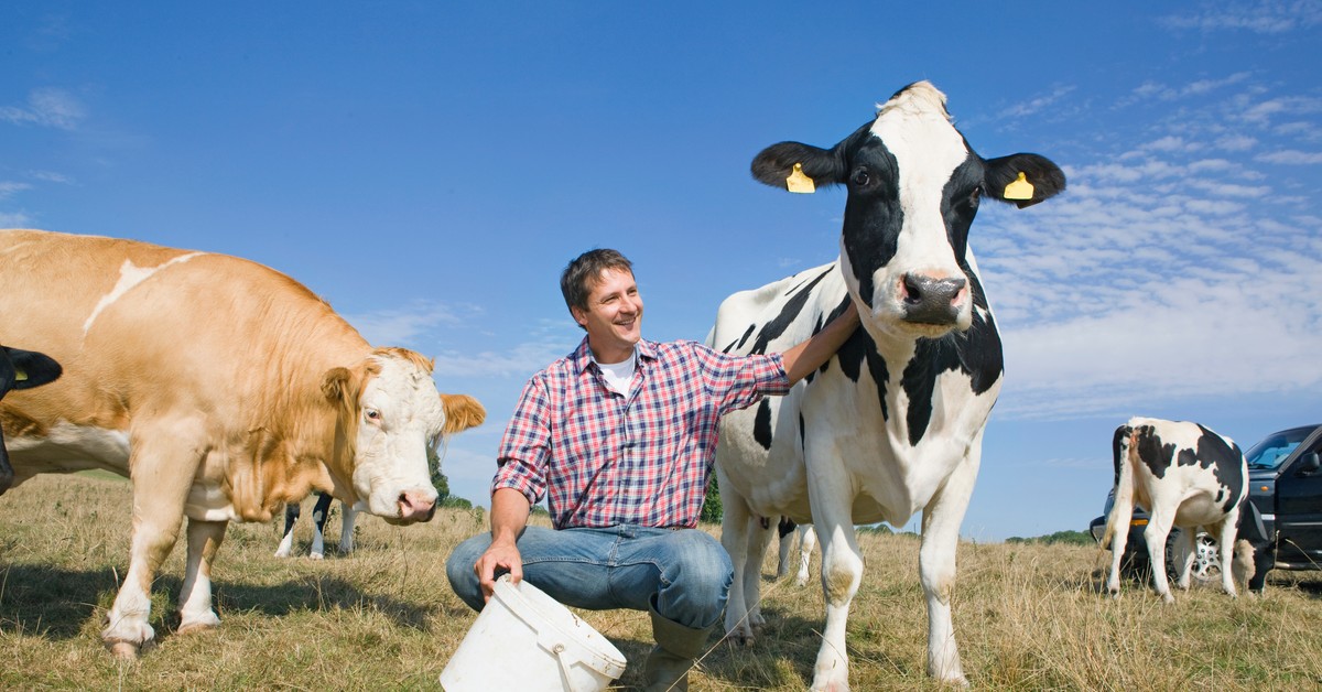 Unia Europejska finalizuje umowę handlową z Indonezją – szanse dla polskiego rolnictwa i eksportu żywności