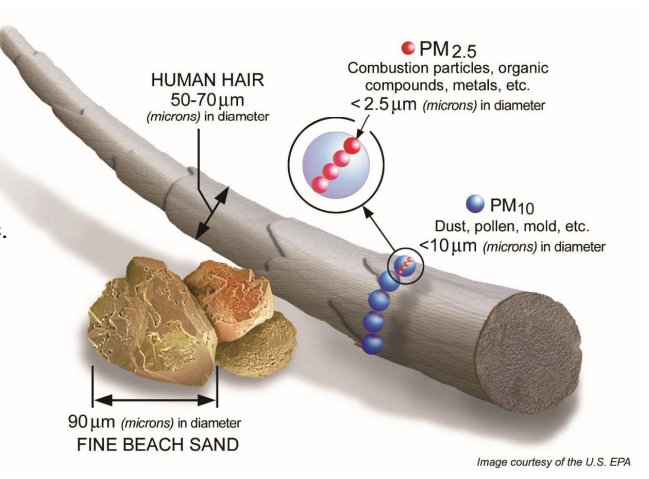 Porównanie wielkości cząstek PM2,5 (na czerwono) z cząstkami PM10, ludzkim włosem i ziarnkiem piasku