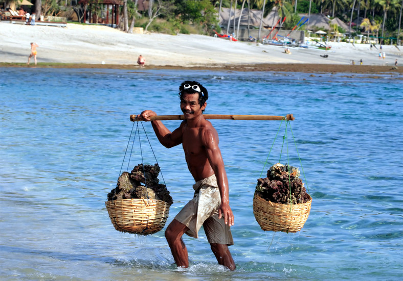 Indonezja, Lombok