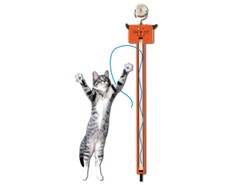 Jak rozbawić własnego kota?