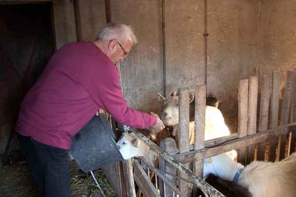 "ACO, SINE, NEMA MAJKA HLEBA DA TI DA" Naš pevač odrastao u teškom siromaštvu, a danas ima imperiju: "Nisam imao šta da jedem"