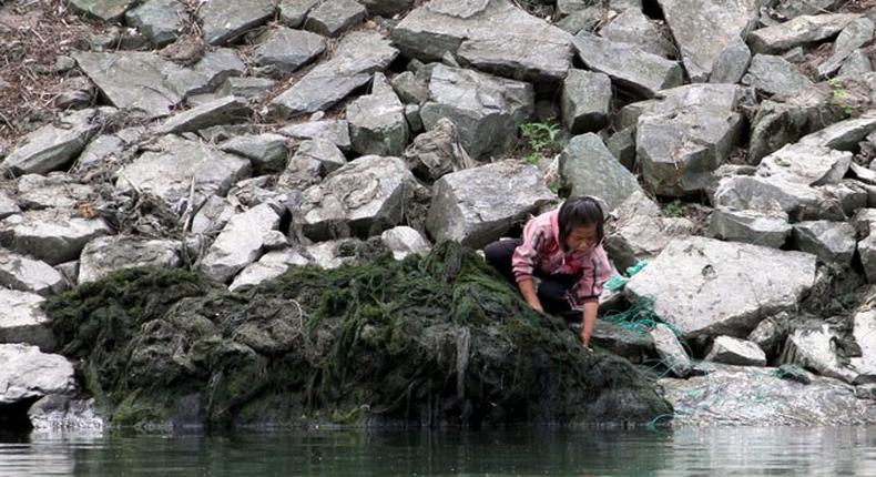 Drought puts N.Korean children's lives at risk - UNICEF