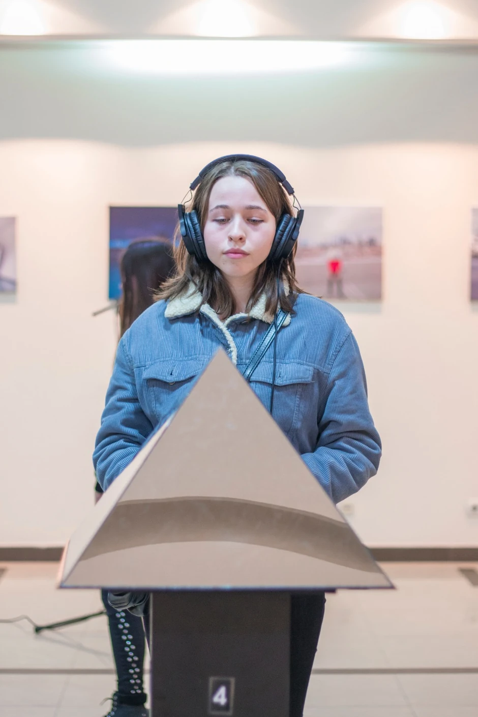 Milijeva izložba u Novom Pazaru