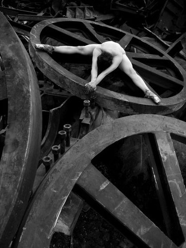 Zdjęcia z kalendarza na 2013 rok