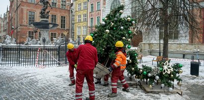 Koniec choinki z Długiego Targu. Co się stało z drzewkiem?