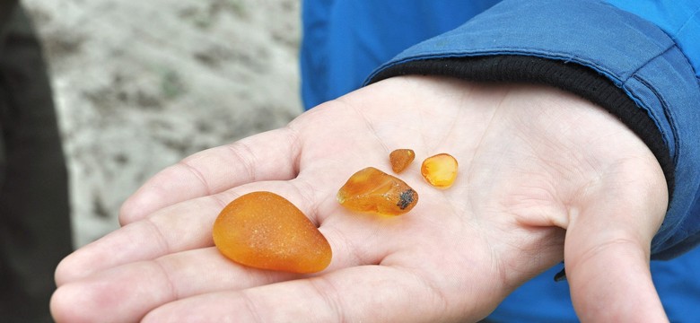 "Aż trudno uwierzyć". Bursztyn na bałtyckich plażach. Spacerowicze zbierają na potęgę