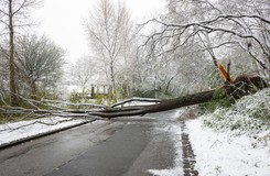 Niebezpieczne zjawiska w pogodzie przed Bożym Narodzeniem. Nowe prognozy na święta