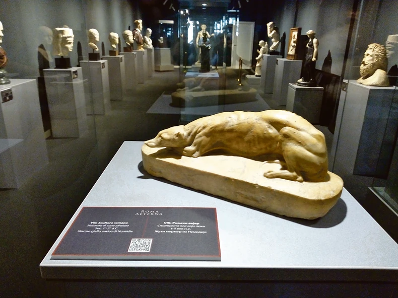 Izložba će u zbirci strane umetnosti Muzeja grada Novog Sada biti otvorena do 11. septembra