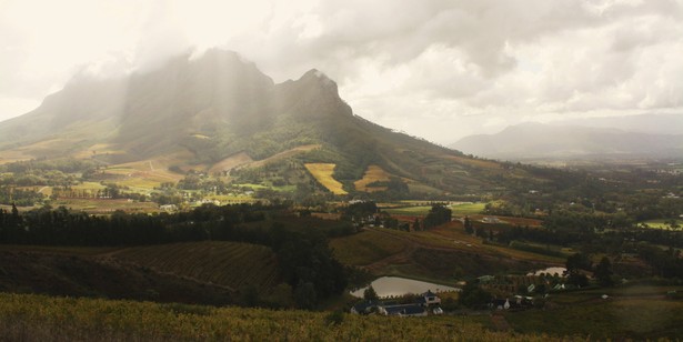 Widok na Simonsberg i winnicę w Bartinney