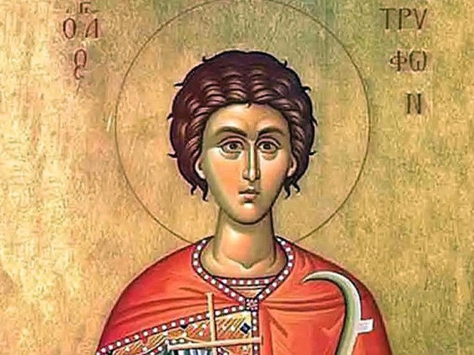 Sveti Trifun