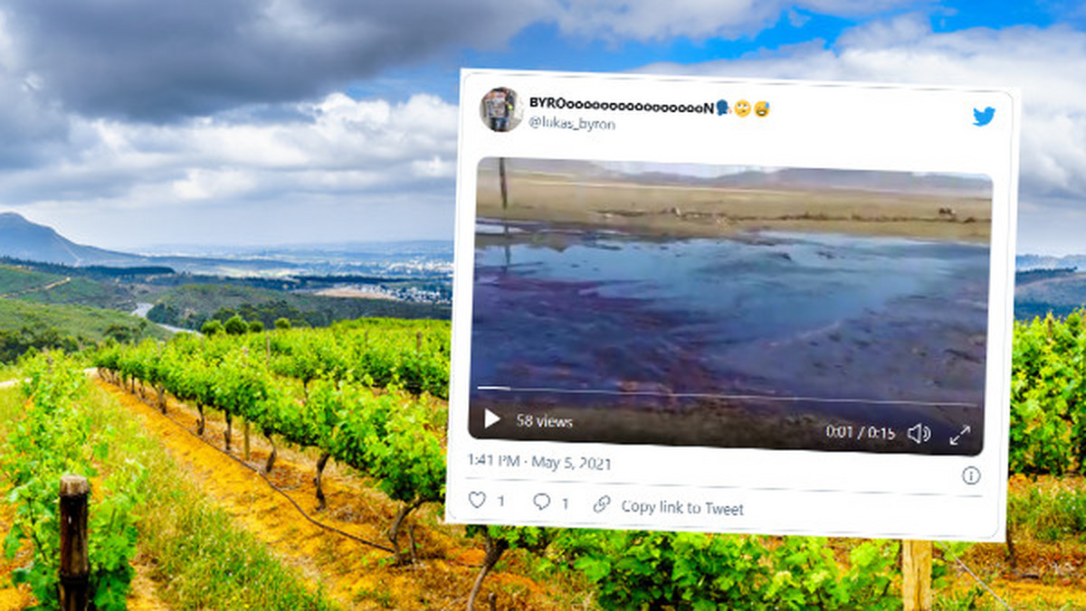 RPA. Eksplozja w winnicy. 50 tys litrów stworzyło rzekę czerwonego wina