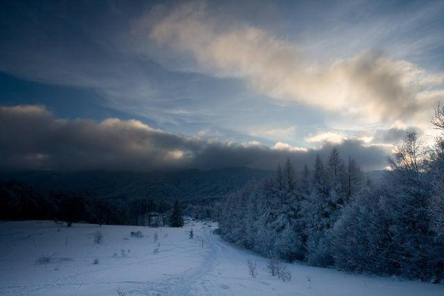 Galeria Polska - Bieszczady w zimowej szacie, obrazek 24