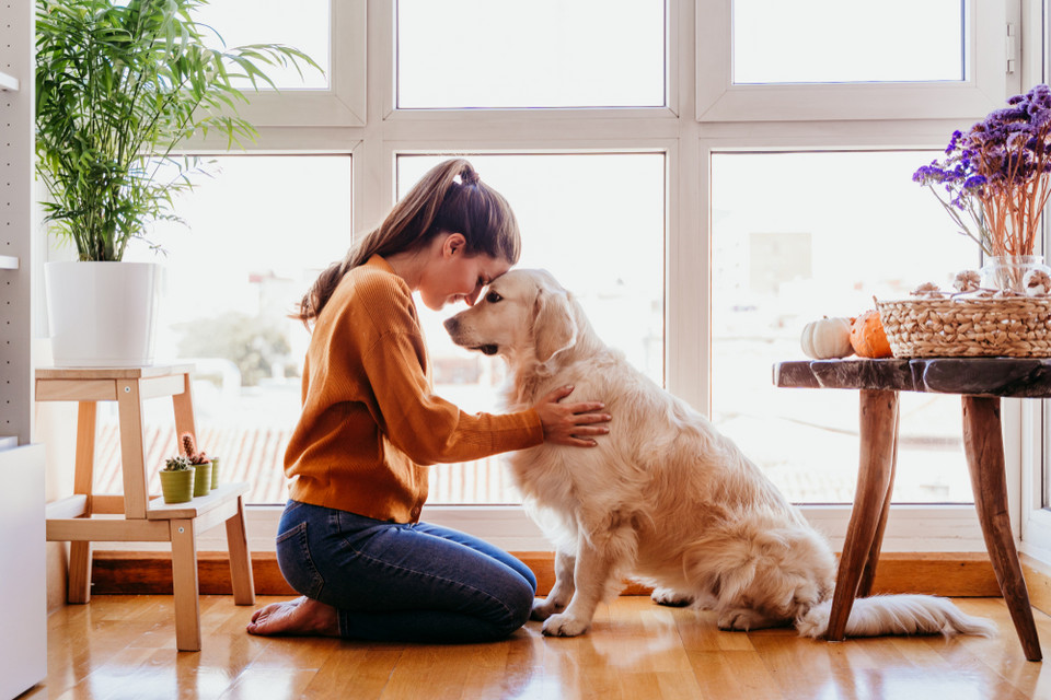 5. Twój pies wie o tobie, że jesteś smutny