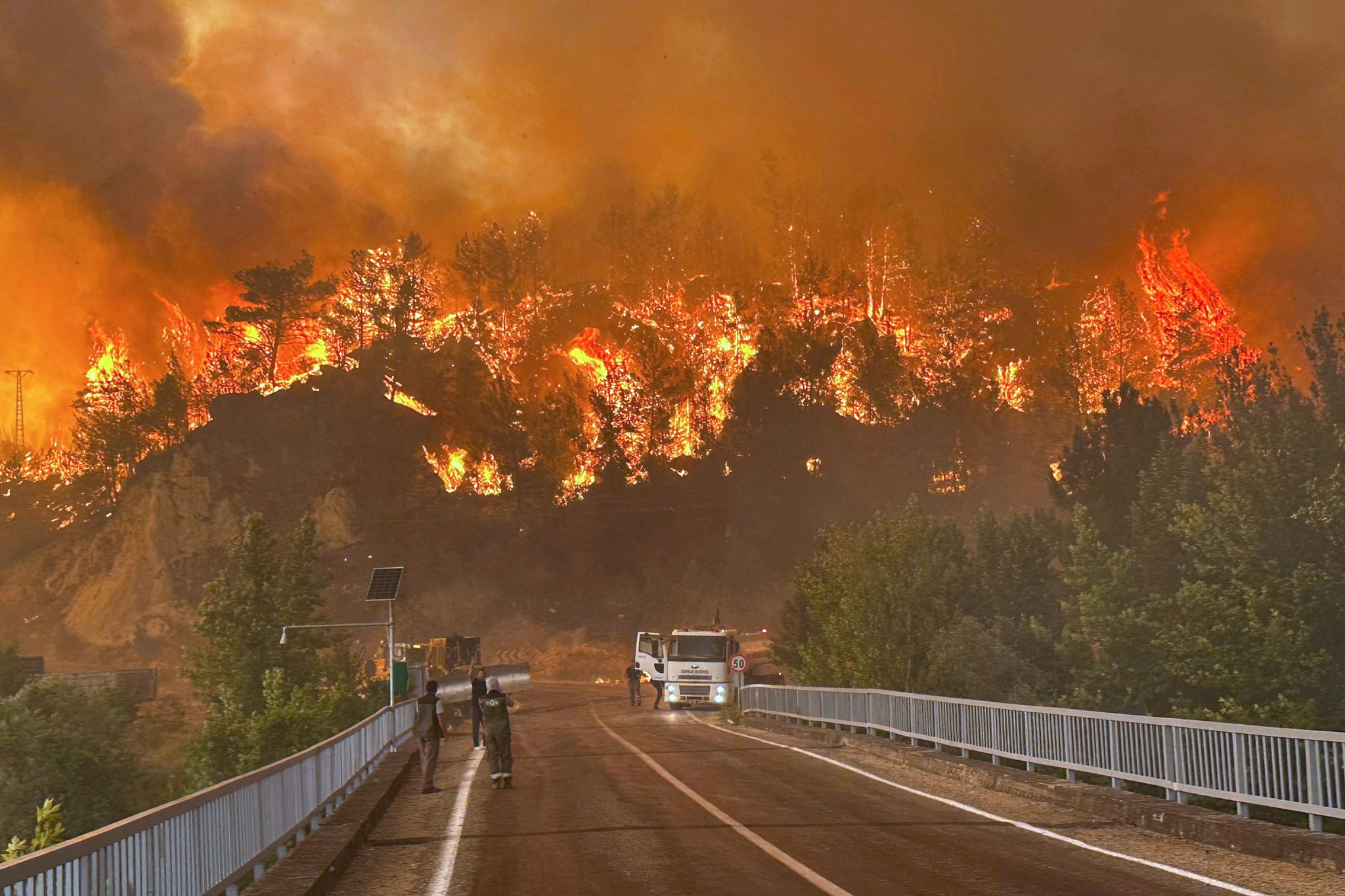 Waldbrände wüten in 7 türkischen Provinzen