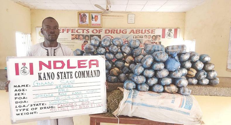 NDLEA seizes 2,144 parcels of hemp in Lagos, arrests suspect who jumped bail  [Facebook:NDLEA]