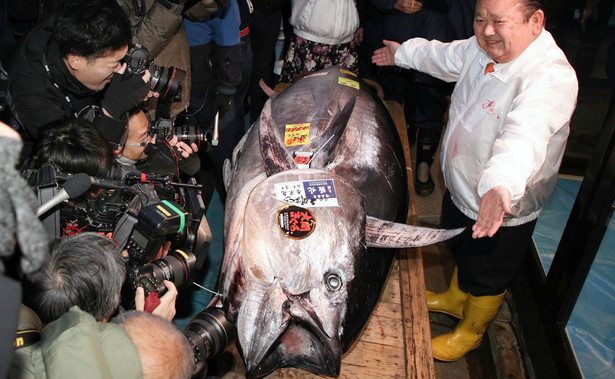 Rekordowa cena za tuńczyka. Blisko 2 mln dolarów