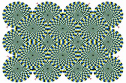 Widzisz kręcące się węże? Na tym polega tajemnica popularnej iluzji optycznej