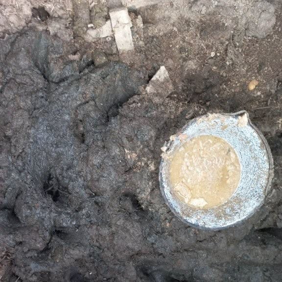 Zvieratá žili na nelegálnej farme vo Vlčanoch medzi haldou odpadu.