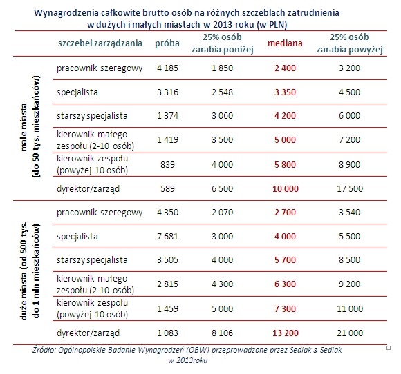 Wynagrodzenia całkowite brutto osób na różnych szczeblach zatrudnienia w dużych i małych miastach w 2013 roku (w PLN)