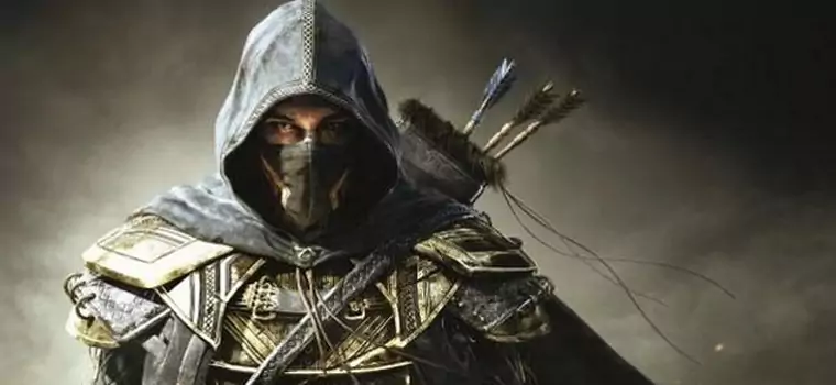 The Elder Scrolls Online - zainteresowanych betą liczy się w milionach