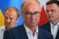 Włodzimierz Czarzasty, Donald Tusk i Szymona Hołownia