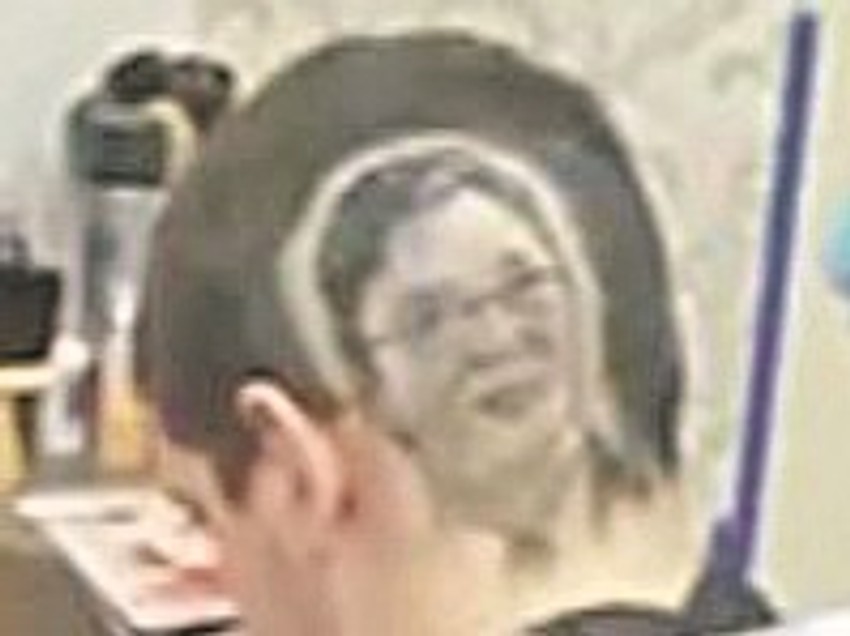 U igri je, kažu, bila i slika Mona Lize: Mladić sa likom Aleksandra Vučića na potiljku