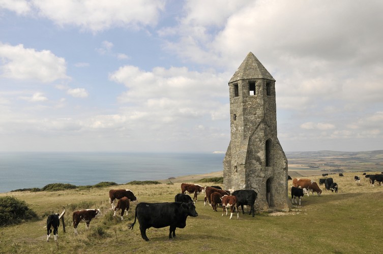 Isle of Wight<br><br> Można się tus dostać promem pasażerskim płynącym z Portsmouth do Ryde. Łączna długość dróg rowerowych to 320 km.