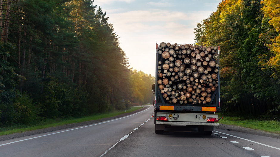 Wzrost cen drewna zwiększył jego eksport z Polski
