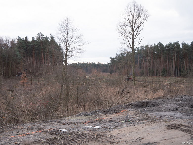 Budowa drogi ekspresowej S-1 - odcinek węzeł Oświęcim - Dankowice - zdjęcia z poziomu ziemi - 17.11.2022 - autor: GDDKiA