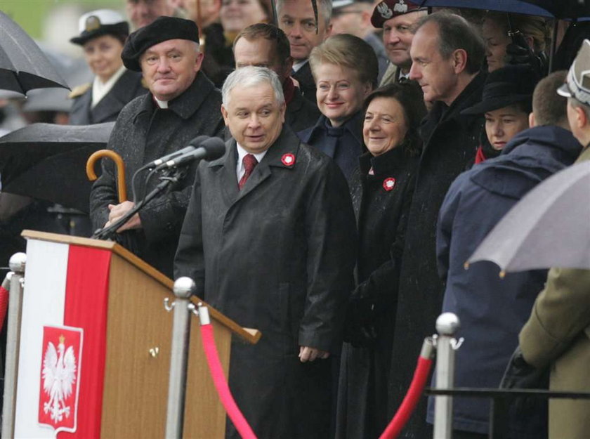 Który kotylion jest prawidłowy