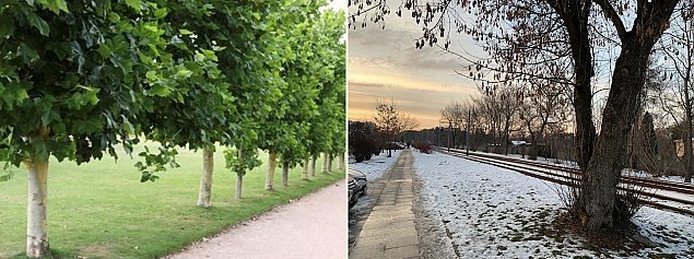 źródło: bo.um.warszawa.pl