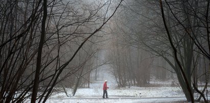 Nadchodzą roztopy i silny wiatr. Zima nie odpuszcza, ale będzie nieco cieplej