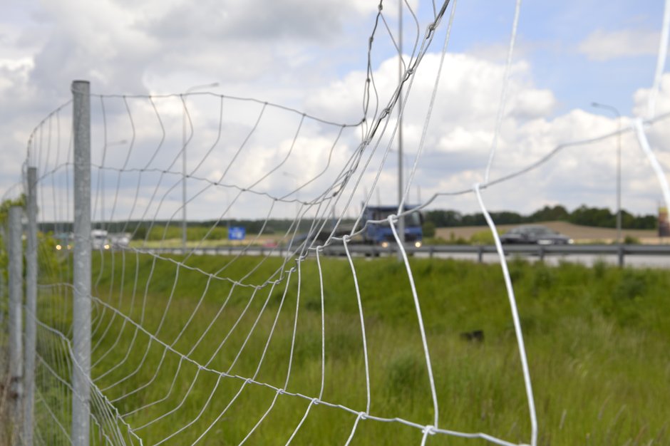 Śmiertelny wypadek na A1. Zderzenie samochodu z łosiem