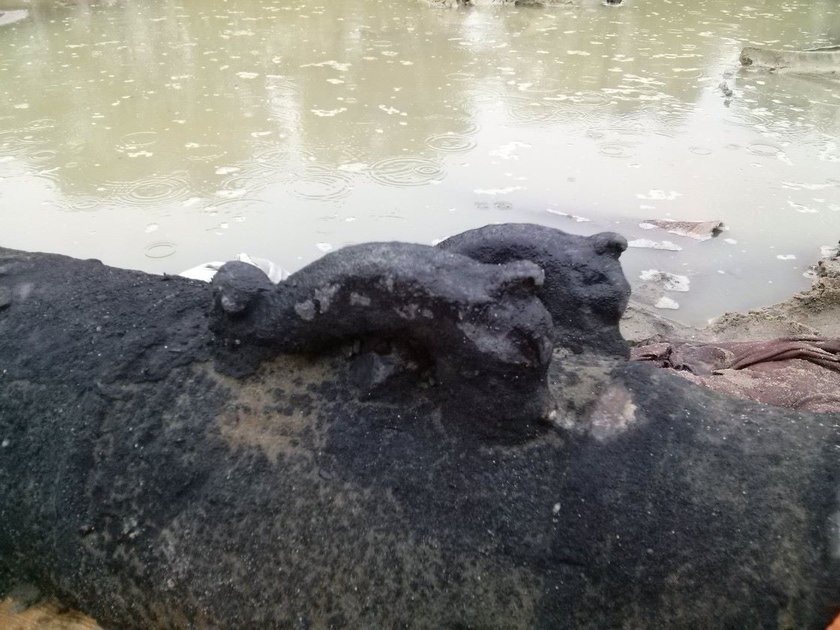 Wisła odkryła kolejne skarby. Archeolodzy znaleźli dwie armaty pochodzące z XVII wieku