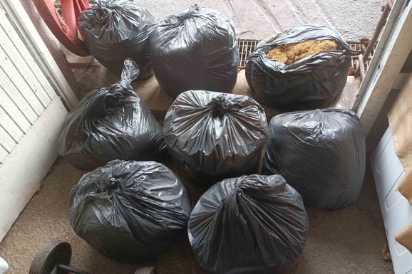 UHAPŠENA ŽENA (53) U ZAJEČARU Sumnja se da je oštetila budžet Srbije za više od MILION I STO HILJADA