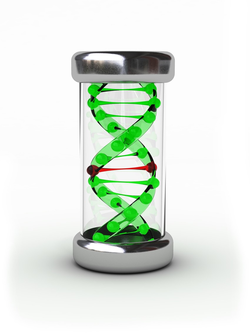 Istraživači su napravili ljudski veštački hromozom u laboratoriji od hemijskog, umesto od postojećeg ljudskog materijala