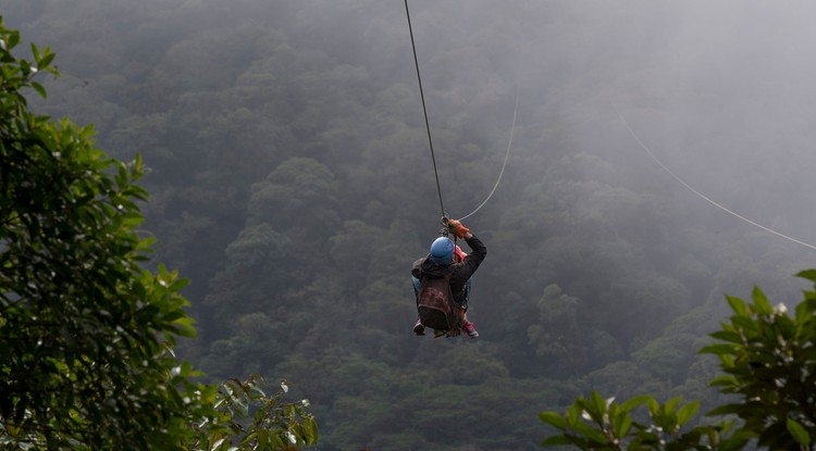 Zipline